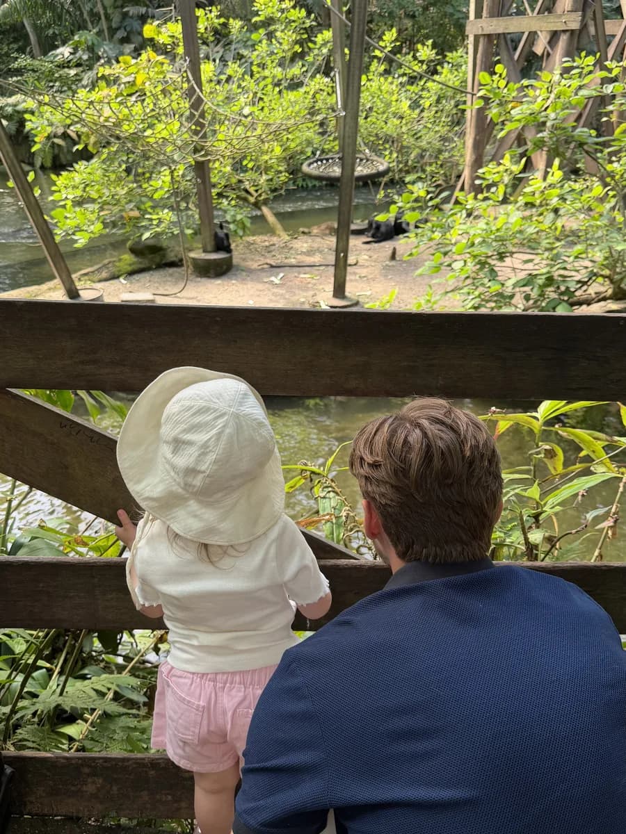 Vater und Kleinkind schauen im Tierpark gemeinsam ins Affengehege