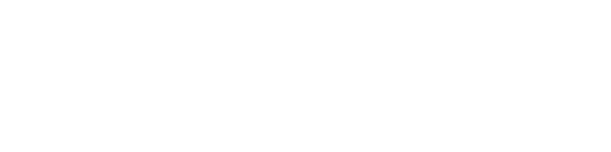 EcoFlow